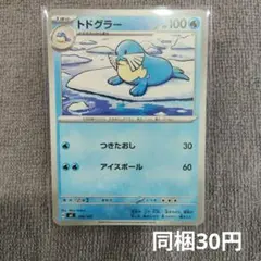 【在庫2】トドグラー まとめ買いのサムネイル