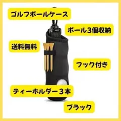 【送料無料】簡単取り出し＆4色展開 多機能ゴルフボールケース ブラック ティー