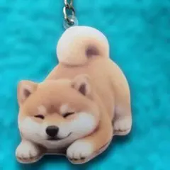 新品未使用 柴犬 アクリルキーホルダーです