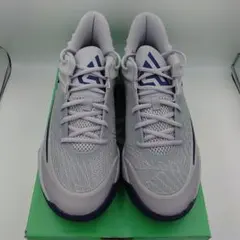 未使用バッシュ 27cm NIKE ナイキ GIANNIS ヤニス