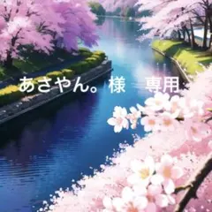 【オーダー】あさやん。様 専用