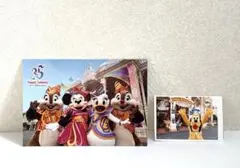 ディズニーランド　35周年 スペシャルフォト スペフォ ミッキー ミニー　チプデ