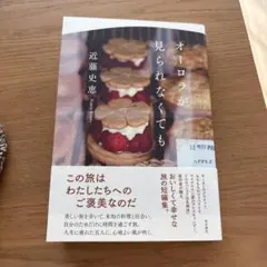 オーロラが見られなくても