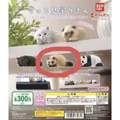 なつる様 リクエスト 2点 まとめ商品