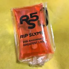 RIP SLYME GREATEST LIVE クリアポーチ GIGO限定 - メルカリ