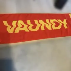 Vaundy バウンディ タオル 大阪限定のサムネイル