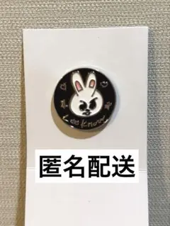 straykids スキズ 展覧会 ランダムピンバッチ リービット