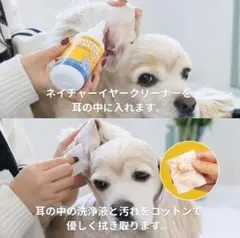 Item thumbnail for item 780c4050-03f8-4474-adfd-d63f8933ff44