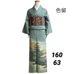 22160 色留袖　金箔　松　グリーン　一つ紋　フォーマル【即購入OK・即発送】