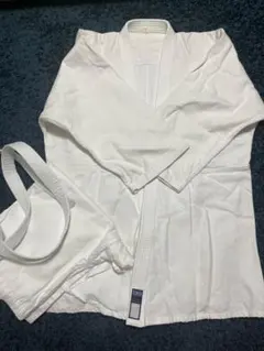 Item thumbnail for item b94b3da6-ca5b-409f-bf24-4b4030ec4eed