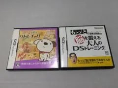 ニンテンドーDS ソフト2本セット