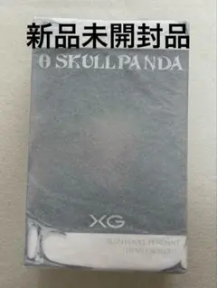 か*ɞ様 SKULLPANDA XG コラボ POPMART スカルパンダ xg
