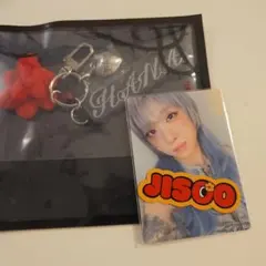 【HANA】HANA 1st TOUR ハナ ペンライトチャーム ジスファンミ