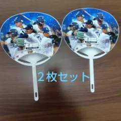 埼玉西武ライオンズうちわ