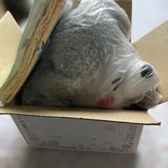 犬と猫どっちも飼っていると毎日楽しい 犬くん　ティッシュカバー　他3点セット