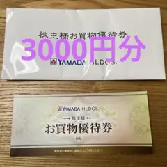 ヤマダ電機　お買物優待券 500円6枚