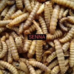 Lee様 リクエスト 3点 まとめ商品