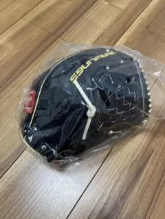 限定品】Rawlings HOH JAPAN 