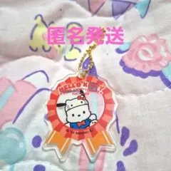 ポチャッコ　アクキー　キティ50周年