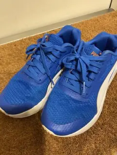 Item thumbnail for item f7298bb5-fc8f-44f3-b85f-c74ae8c0a097