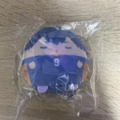ハイキュー‼︎ くじメイトぬいくじ E賞 影山飛雄