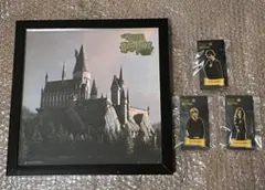 ハリーポッター ユニバーサルスタジオジャパン ホグワーツ フレーム ピンズ 額のサムネイル