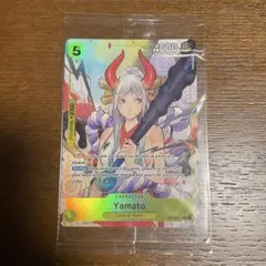 ヤマト　海外限定デザイン　英語版