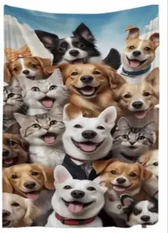 Item thumbnail for item d70657ef-8a2b-4ce7-8e91-202b7d9b0836