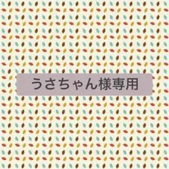 うさちゃん様専用