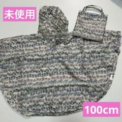 Item thumbnail for item 792f976a-1967-4cdd-814a-7c6a55010f67