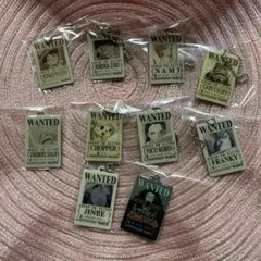 ガシャポン ワンピース　ウォンテッドプレート　メタルチャーム　手配書キーホルダー