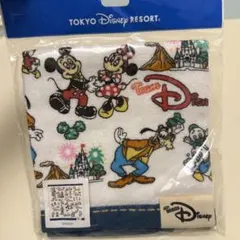 東京ディズニーリゾート ウォッシュタオル キャラクター柄