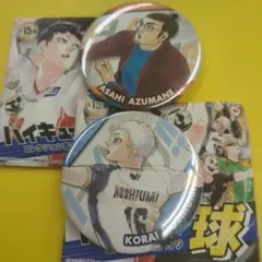 ハイキュー!!　コレクション缶バッジ　10周年Ver　東峰　星海