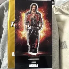 EXILE THE REASON AKIRA