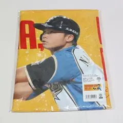 中島卓也　タワーレコード　フェイスタオル　北海道日本ハムファイターズのサムネイル