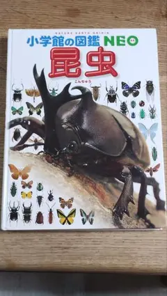 小学校の図鑑 NEO 昆虫