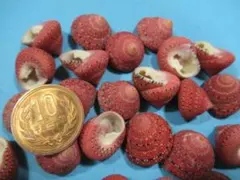 Item thumbnail for item 8c71f5ee-4fc6-4d35-90b8-d0d9e28977ab