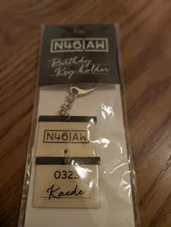 遠藤さくら 乃木坂46 だいたいぜんぶ展 N46AW BDキーホルダー - メルカリ