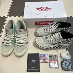 Vans ×Sandy Liang SK8-HI 緑×白刺繍 28cm 新品ハイ - メルカリ