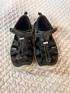 KEEN モキシーサンダル 18.5cm us12