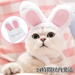 Item thumbnail for item f9284ff6-0354-45b1-9b72-e9ee742360a4