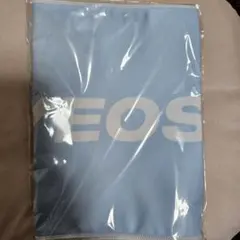 ATEEZ IN YOUR FANTASY JAPAN スローガン ヨサン