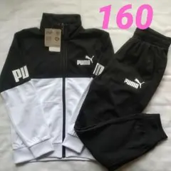 プーマ ジャージ 上下セット 160サイズ 新品