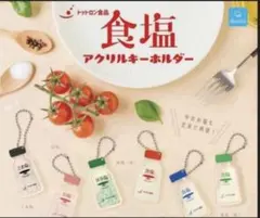ガチャガチャ　トットロン食品 食塩　アクリルキーホルダー