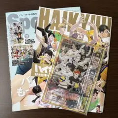 Sportiva バレーボール 特集号 Vol.3 ハイキュー