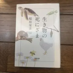 Item thumbnail for item d250a1f1-c10c-44dc-aec1-7abfd13c538d