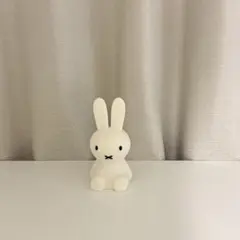 Item thumbnail for item 3b260b3f-0320-4e27-ae8c-aeaa78f81dee