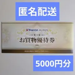 ヤマダホールディングス　株主優待券　5000円分　ヤマダ電機