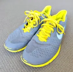 ナイキ　フリー4.0 US10