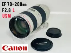 2026年最新】canon ef 70 200mm f2 8l usmの人気アイテム - メルカリ